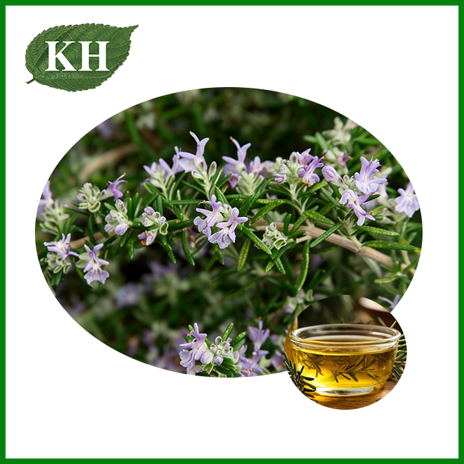Natural Rosemary oil